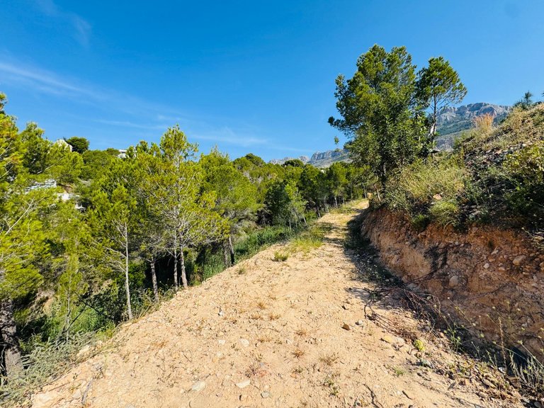 Plot for Sale in Galera de las palmeras, Altea, Alicante 13