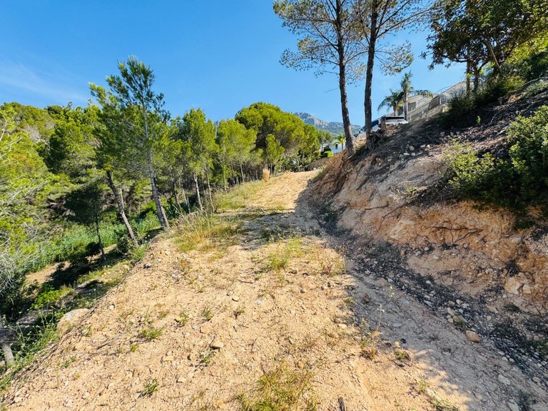 Plot for Sale in Galera de las palmeras, Altea, Alicante 14