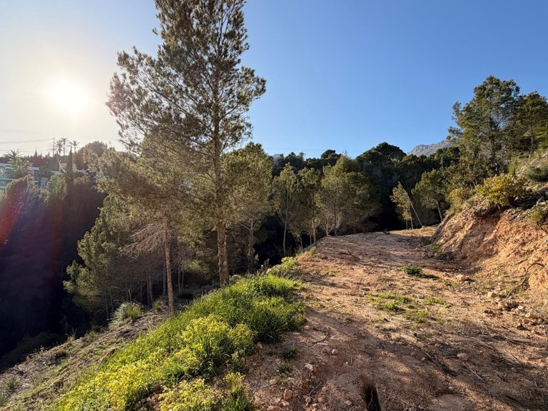 Plot for Sale in Galera de las palmeras, Altea, Alicante 4