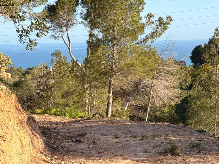 Plot for Sale in Galera de las palmeras, Altea, Alicante 5