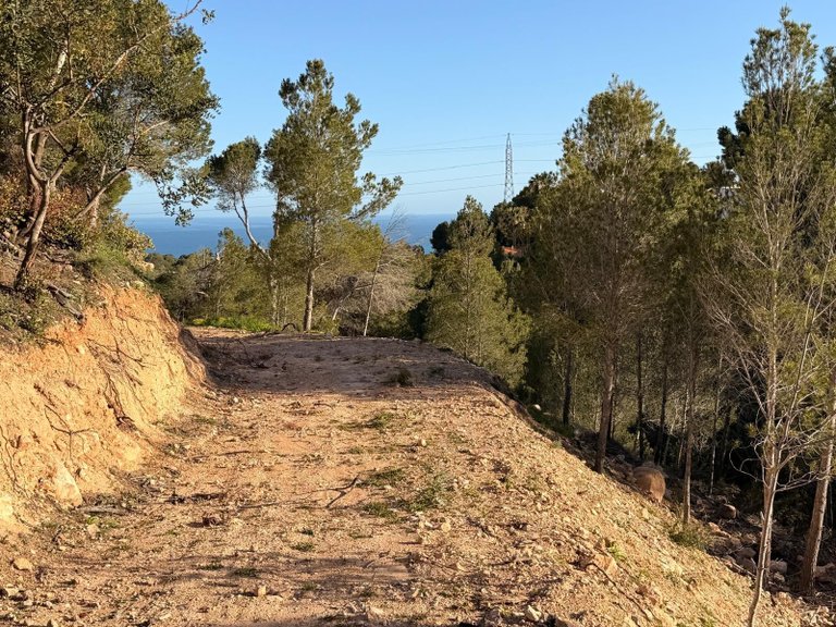 Plot for Sale in Galera de las palmeras, Altea, Alicante 6