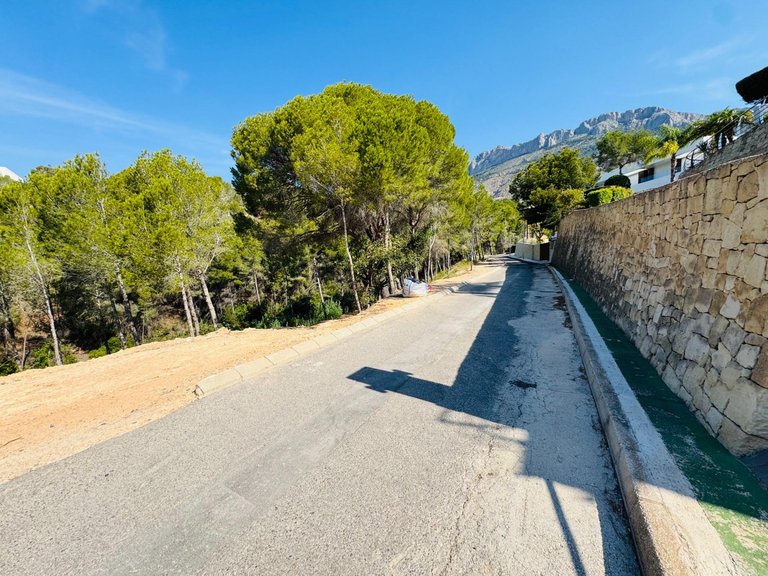 Plot for Sale in Galera de las palmeras, Altea, Alicante 8