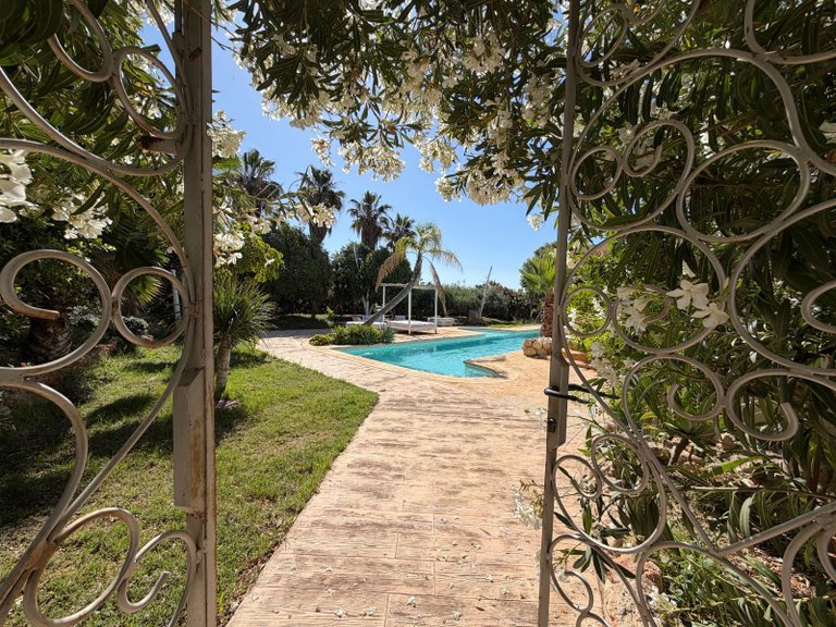 Villa for Sale in Centro, Elche, Alicante 1