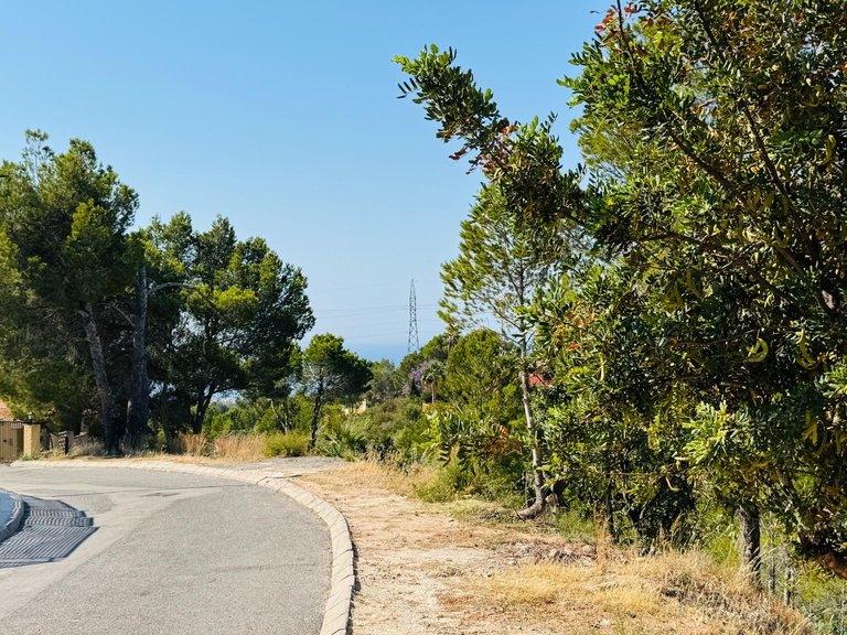 Plot for Sale in Galera de las palmeras, Altea, Alicante 2