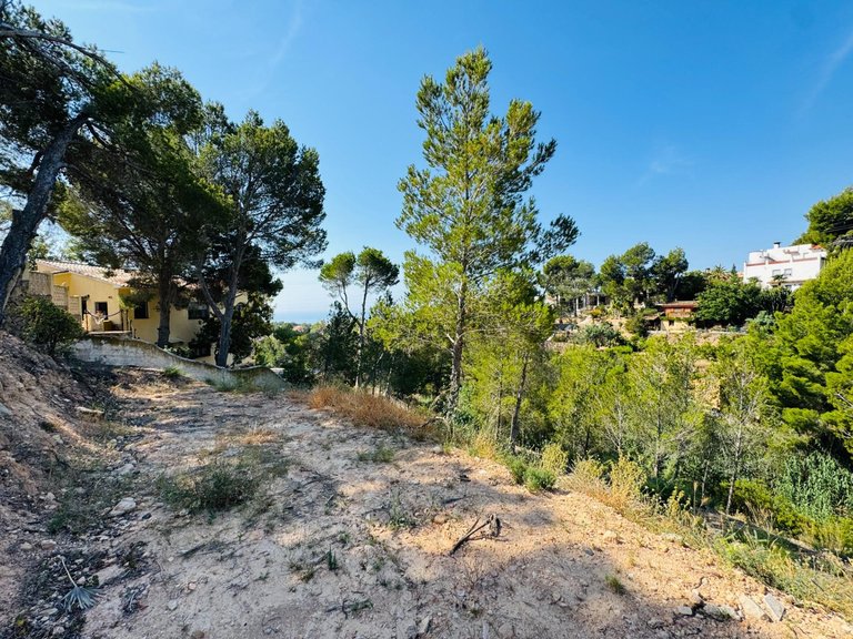 Plot for Sale in Galera de las palmeras, Altea, Alicante 3
