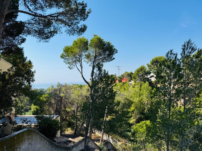 Plot for Sale in Galera de las palmeras, Altea, Alicante 4