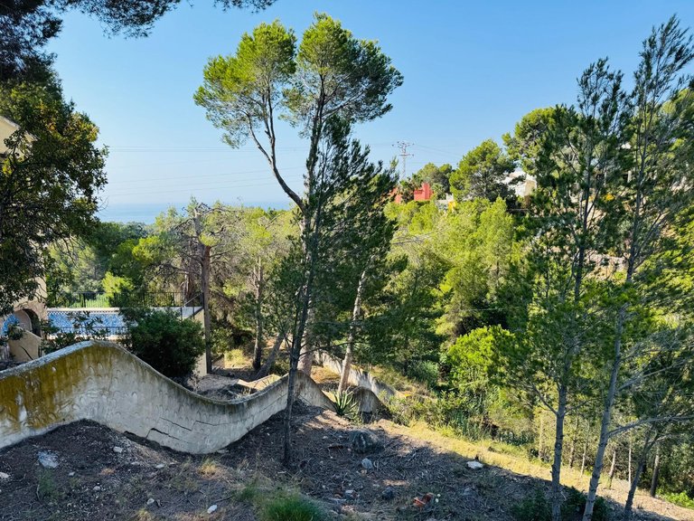 Plot for Sale in Galera de las palmeras, Altea, Alicante 5
