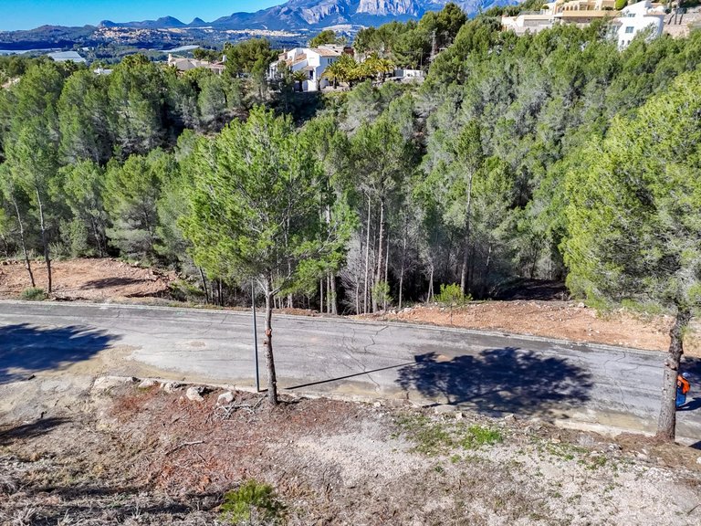 Plot for Sale in Santa clara, Callosa D'en Sarrià, Alicante 5
