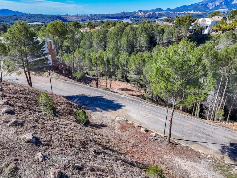 Plot for Sale in Santa clara, Callosa D'en Sarrià, Alicante 6