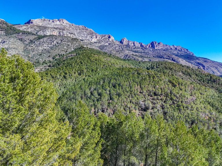Plot for Sale in Santa clara, Callosa D'en Sarrià, Alicante 11