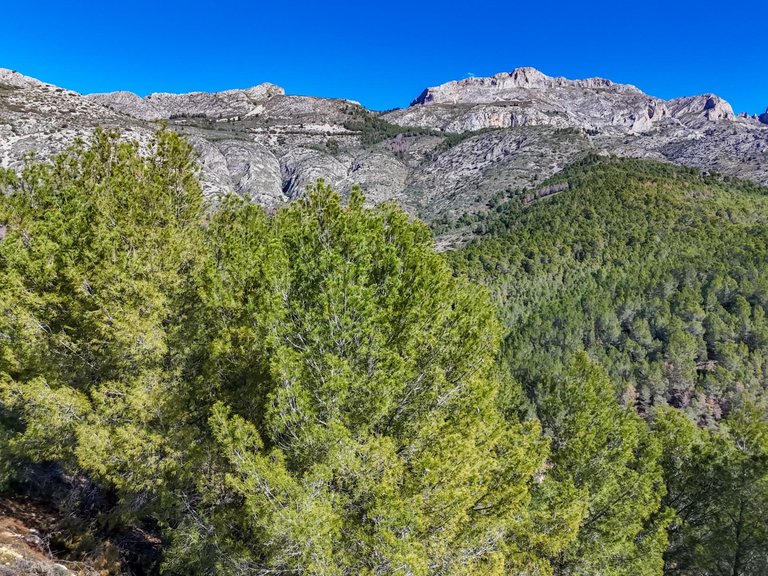 Plot for Sale in Santa clara, Callosa D'en Sarrià, Alicante 14
