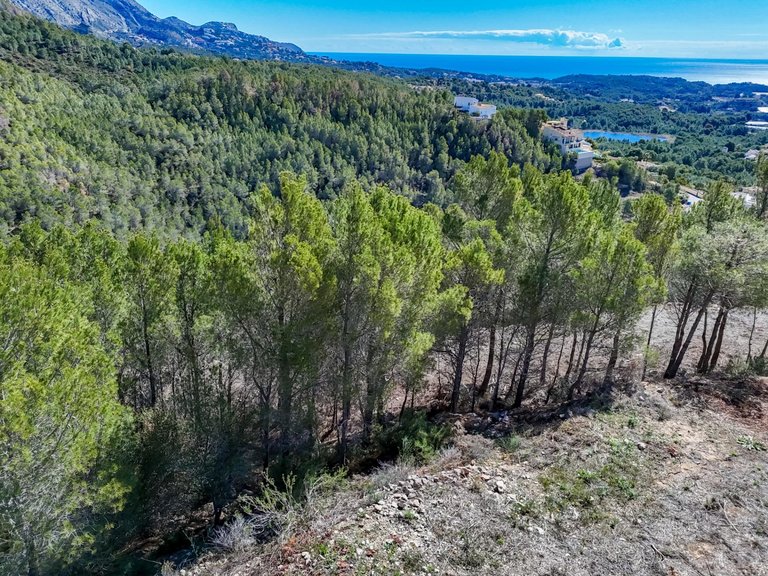 Plot for Sale in Santa clara, Callosa D'en Sarrià, Alicante 6