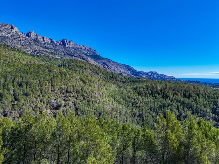 Plot for Sale in Santa clara, Callosa D'en Sarrià, Alicante 8