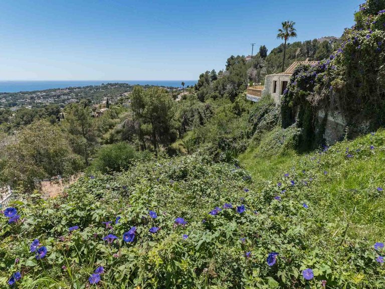 Plot for Sale in Benimeit, Moraira, Alicante 4