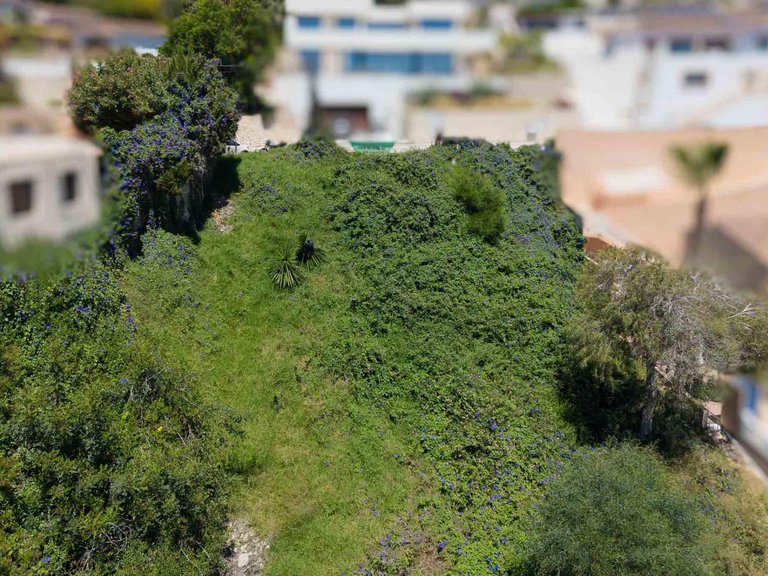 Plot for Sale in Benimeit, Moraira, Alicante 8