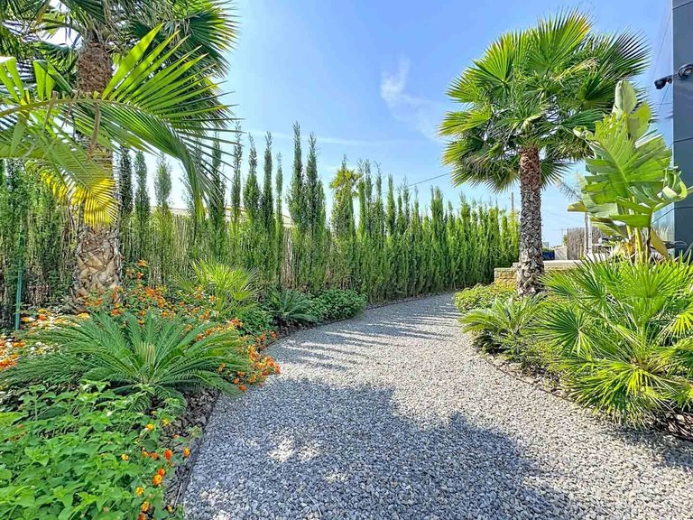 Villa for Sale in Pla roig, Calpe, Alicante 51