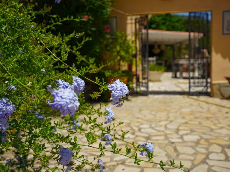 Villa for Sale in Comunidad valenciana, Jalon - Xalo, Alicante 61