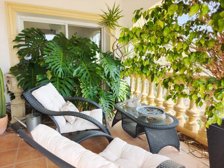 Villa for Sale in Centro urbano 4, Pego, Alicante 19