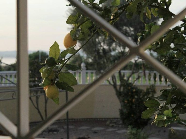 Villa for Sale in Costa Blanca Torrevieja, Alicante 40