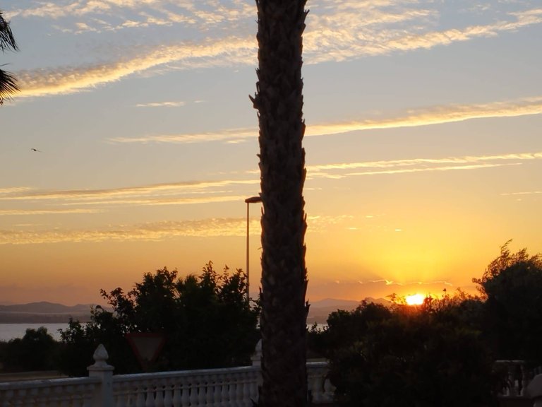 Villa for Sale in Costa Blanca Torrevieja, Alicante 42