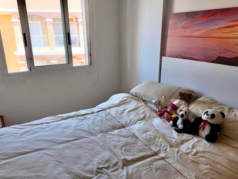 Penthouse for Sale in Torrevieja, Alicante 10