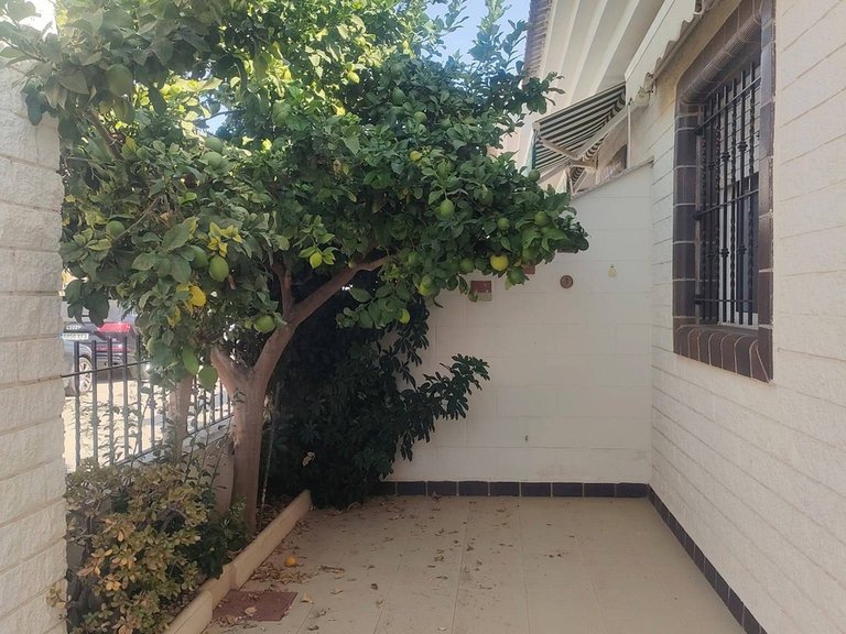 Town House for Sale in Pilar De La Horadada, Alicante 31