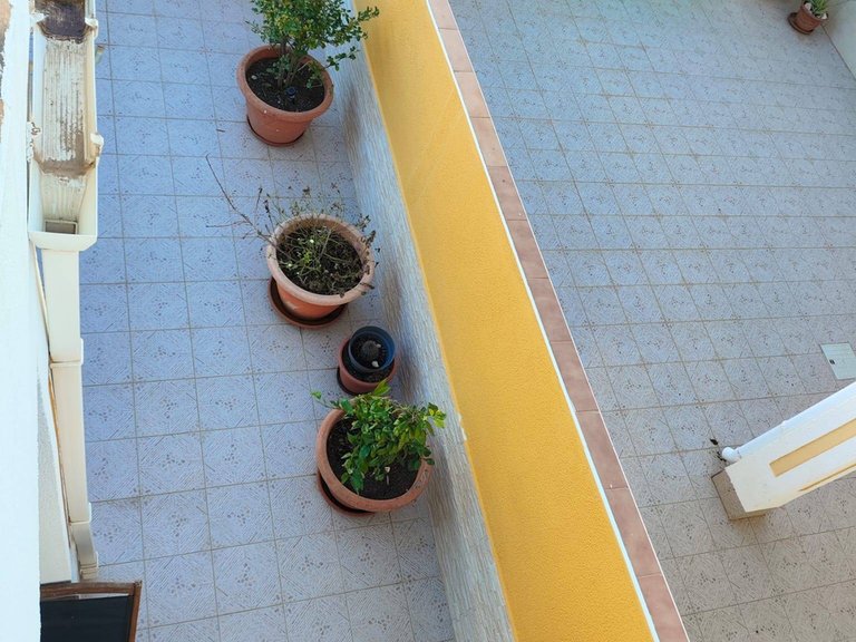 Town House for Sale in San Pedro Del Pinatar, Murcia 41