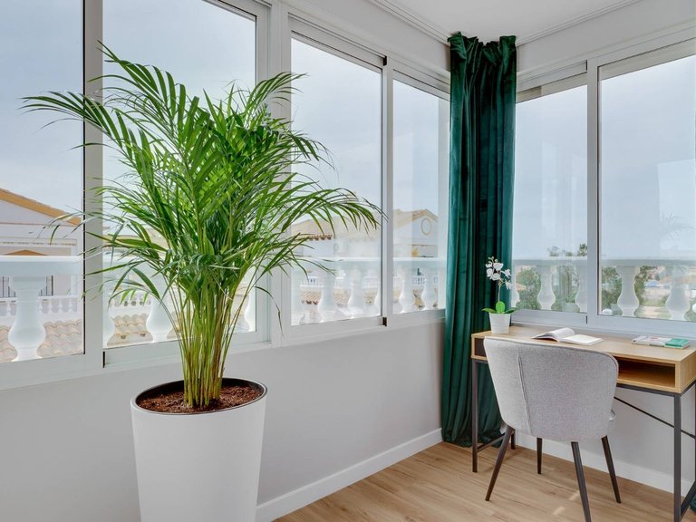 Town House for Sale in Inland Orihuela, Alicante 14