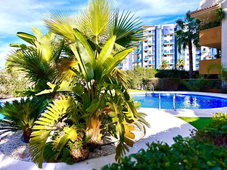 Apartment for Sale in Costa Blanca Torrevieja, Alicante 11