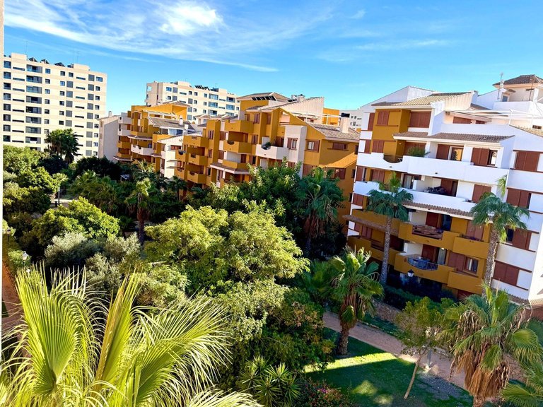 Apartment for Sale in Costa Blanca Torrevieja, Alicante 5