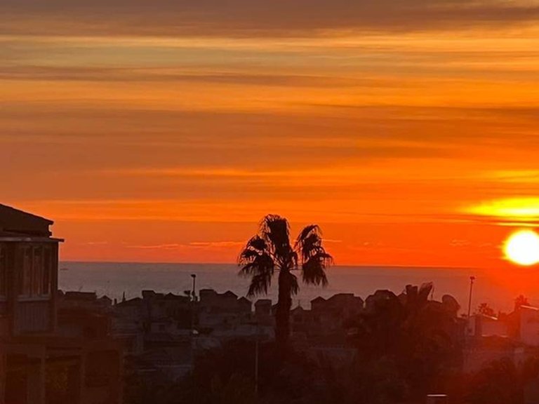 Apartment for Sale in Torrevieja, Alicante 32