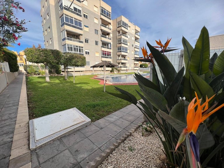 Apartment for Sale in Torrevieja, Alicante 4