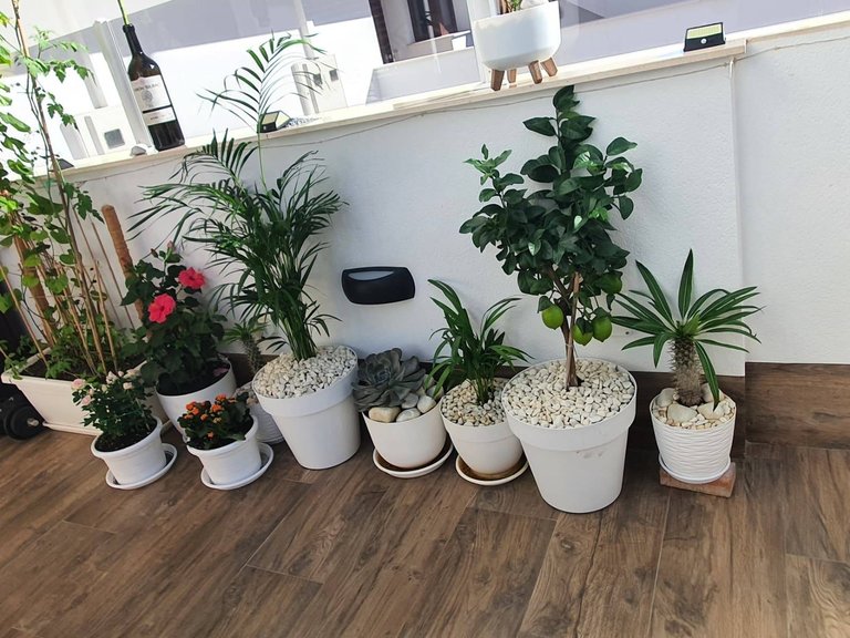 Town House for Sale in Costa Calida San Pedro Del Pinatar, Murcia 12