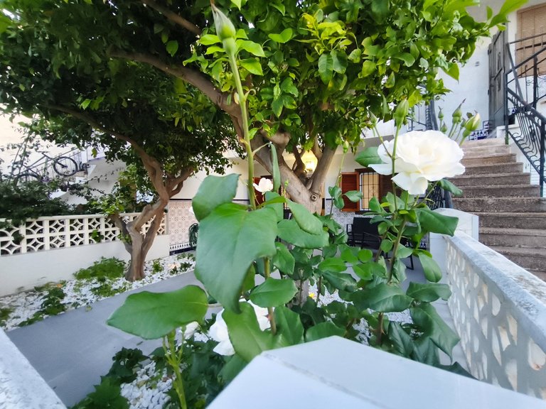 Villa for Sale in San Pedro Del Pinatar, Murcia 35