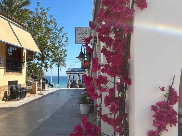 Penthouse for Sale in Costa Blanca Pilar De La Horadada, Alicante 16