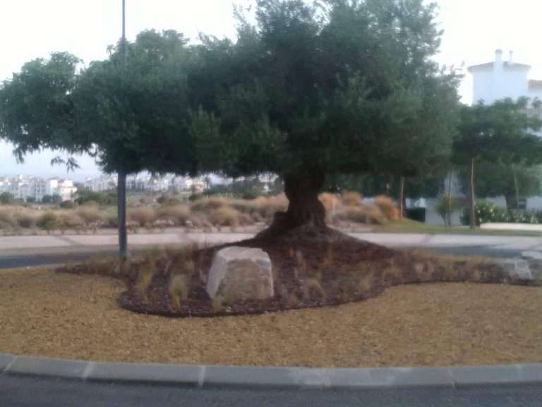 Apartment for Sale in Sucina, Murcia 11