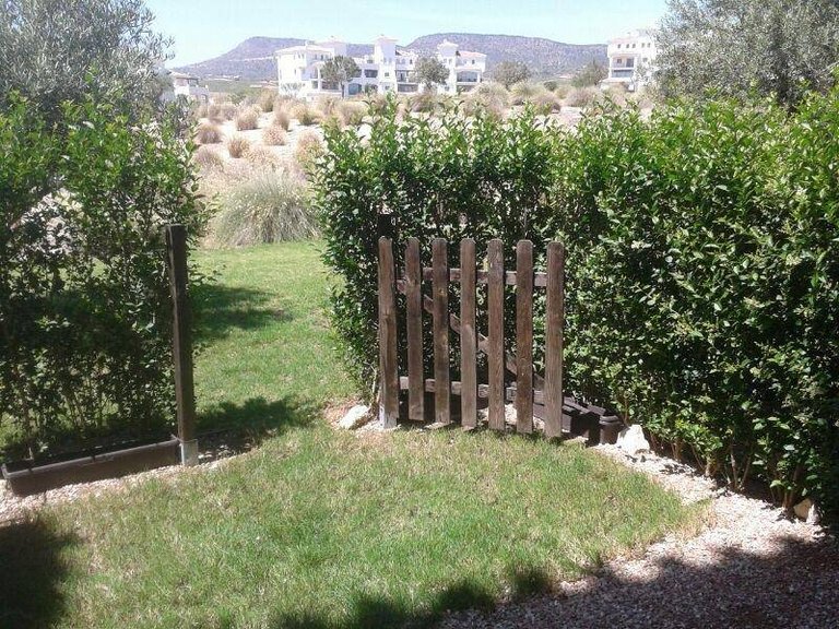 Apartment for Sale in Sucina, Murcia 14