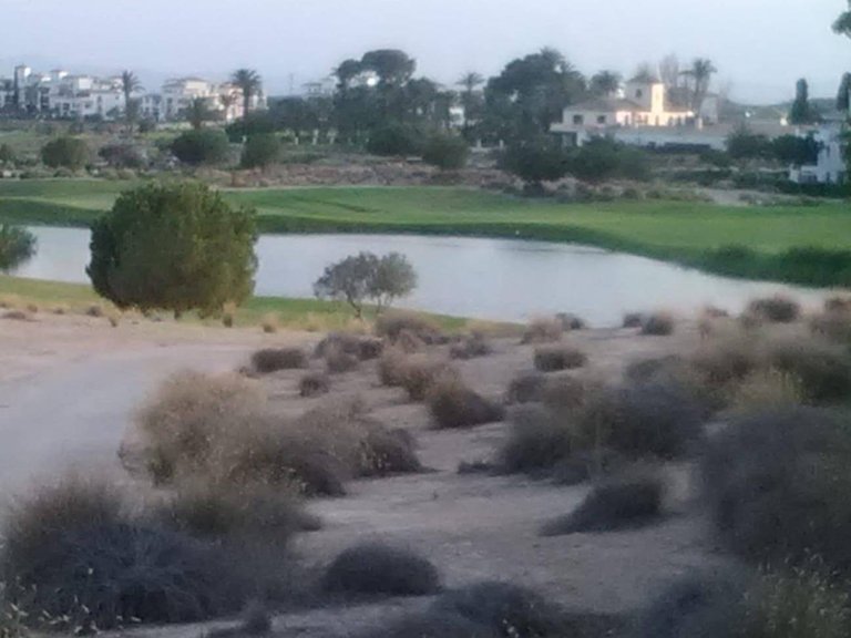 Apartment for Sale in Sucina, Murcia 3