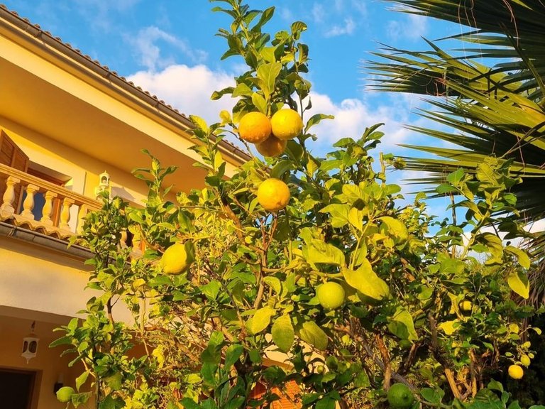 Villa with sea views and pool , Llucmajor, Baleares 20