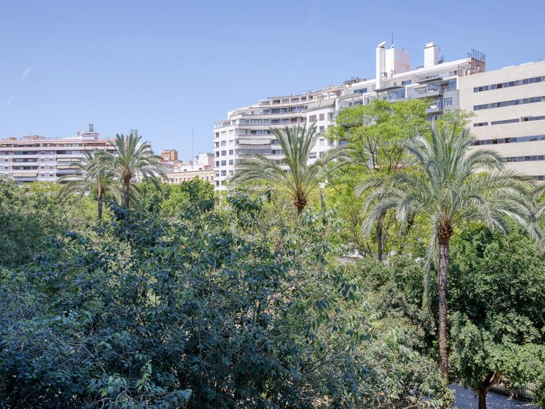 Spacious Apartment in the Center of Palma de Mallorca to Renovate , Palma de Mallorca, Baleares 22