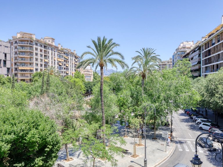 Spacious Apartment in the Center of Palma de Mallorca to Renovate , Palma de Mallorca, Baleares 23