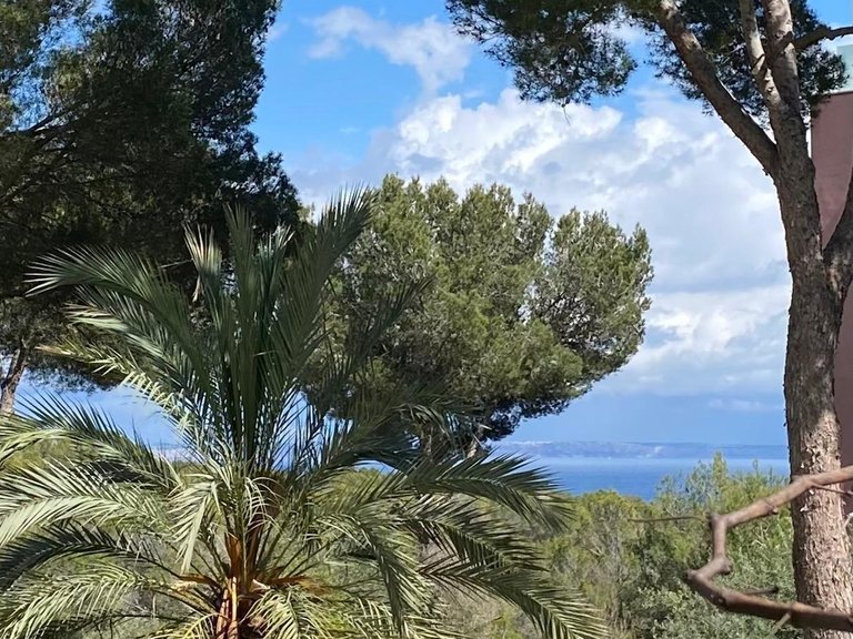 Impressive newly refurbished ground floor apartment , Calvià, Baleares 25