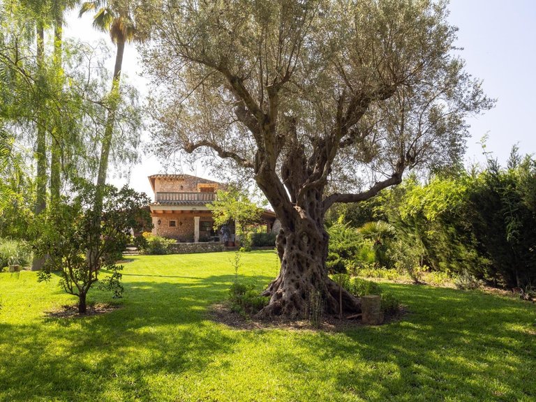Finca with holiday rental licence 6' away from the sea , Pollença, Baleares 12