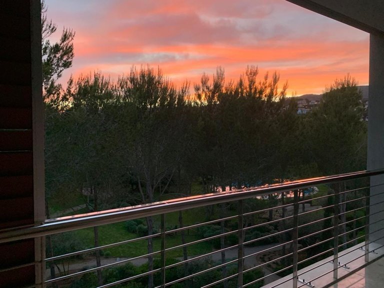 Spectacular penthouse with fantastic views and security , Calvià, Baleares 25