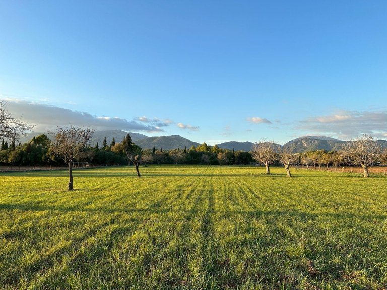Building Plot with Building Project granted in Selva , Selva, Baleares 14