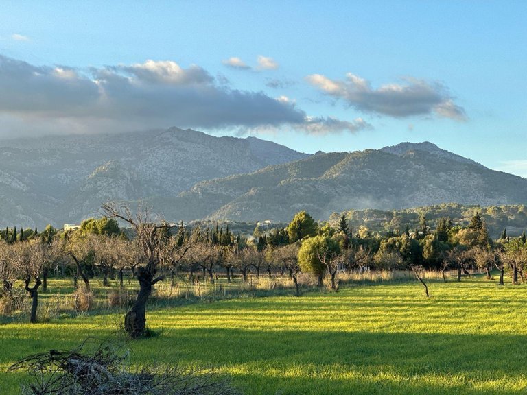 Building Plot with Building Project granted in Selva , Selva, Baleares 15