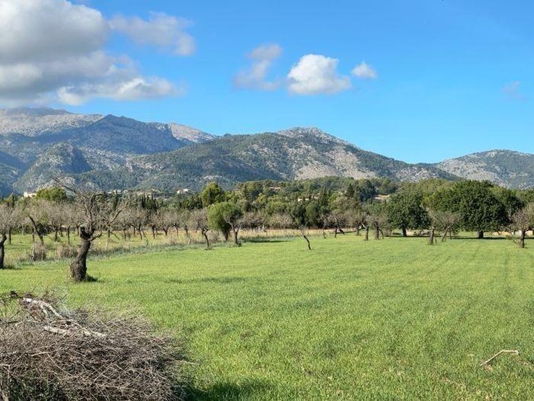 Building Plot with Building Project granted in Selva , Selva, Baleares 16