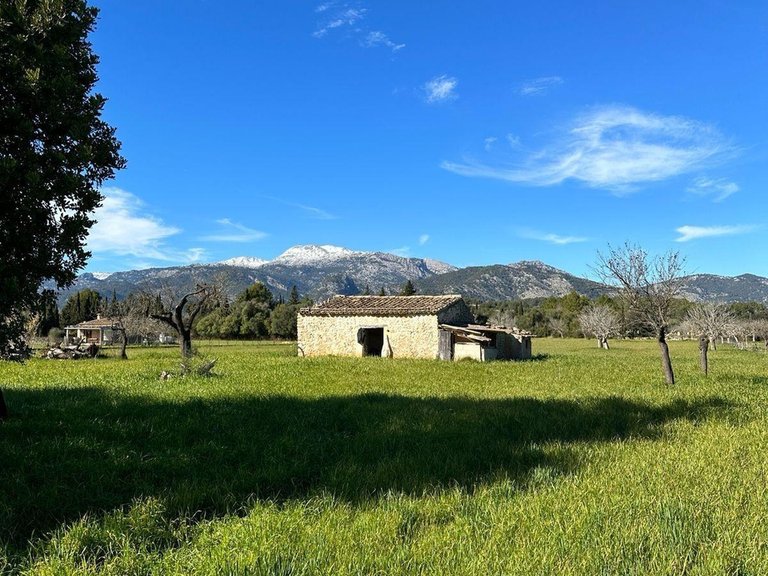 Building Plot with Building Project granted in Selva , Selva, Baleares 17