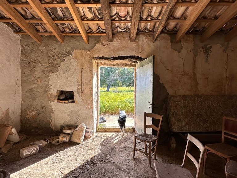 Building Plot with Building Project granted in Selva , Selva, Baleares 18