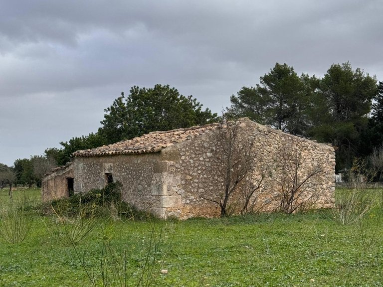 Building Plot with Building Project granted in Selva , Selva, Baleares 19